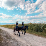 Jugendteam Reiterinnen beim Ausreiten am Gestüt Steinfeld