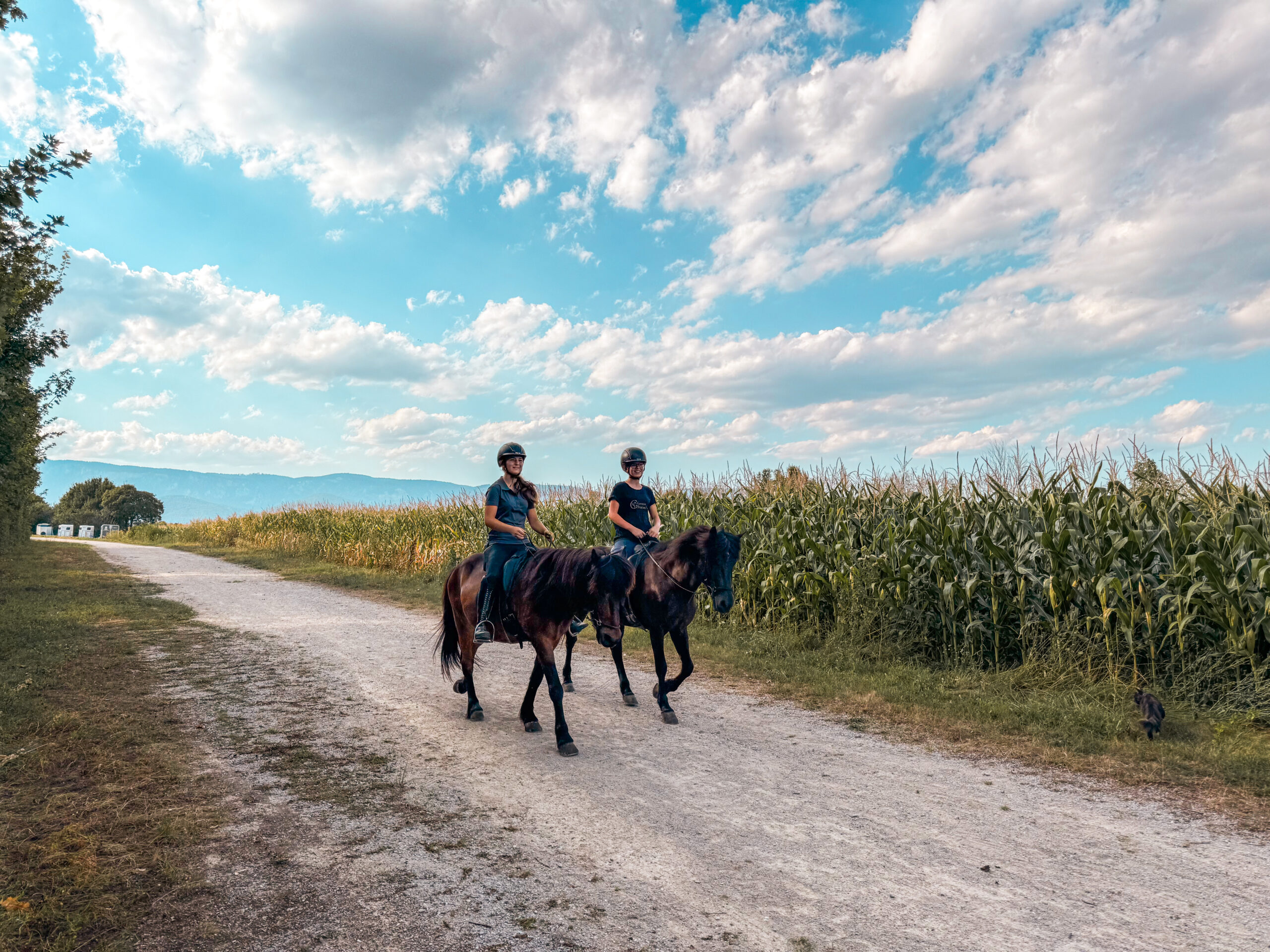 Jugendteam Reiterinnen beim Ausreiten am Gestüt Steinfeld